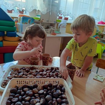 Мешок желудей и коробка каштанов. 