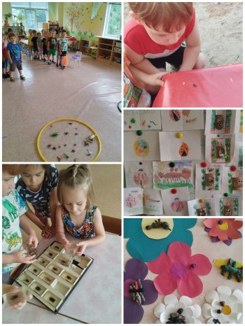 Какие насекомые живут на нашем участке 