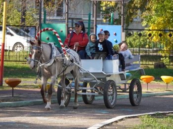 "Минуты радости" 