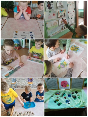 Удивительный мир насекомых и пауков 