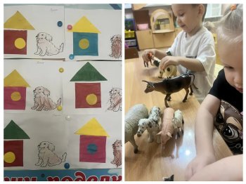 "Наши пушистые друзья" 