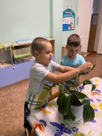Воспитание трудолюбия у детей 